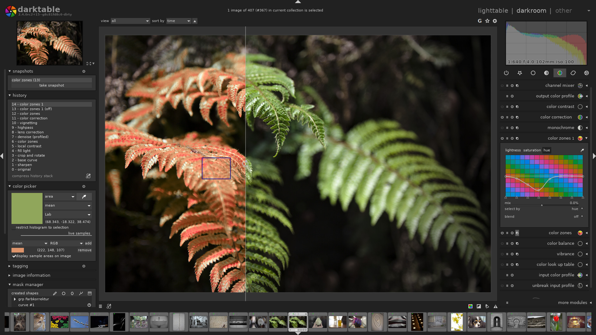 inexpensive raw photo processing software to dng