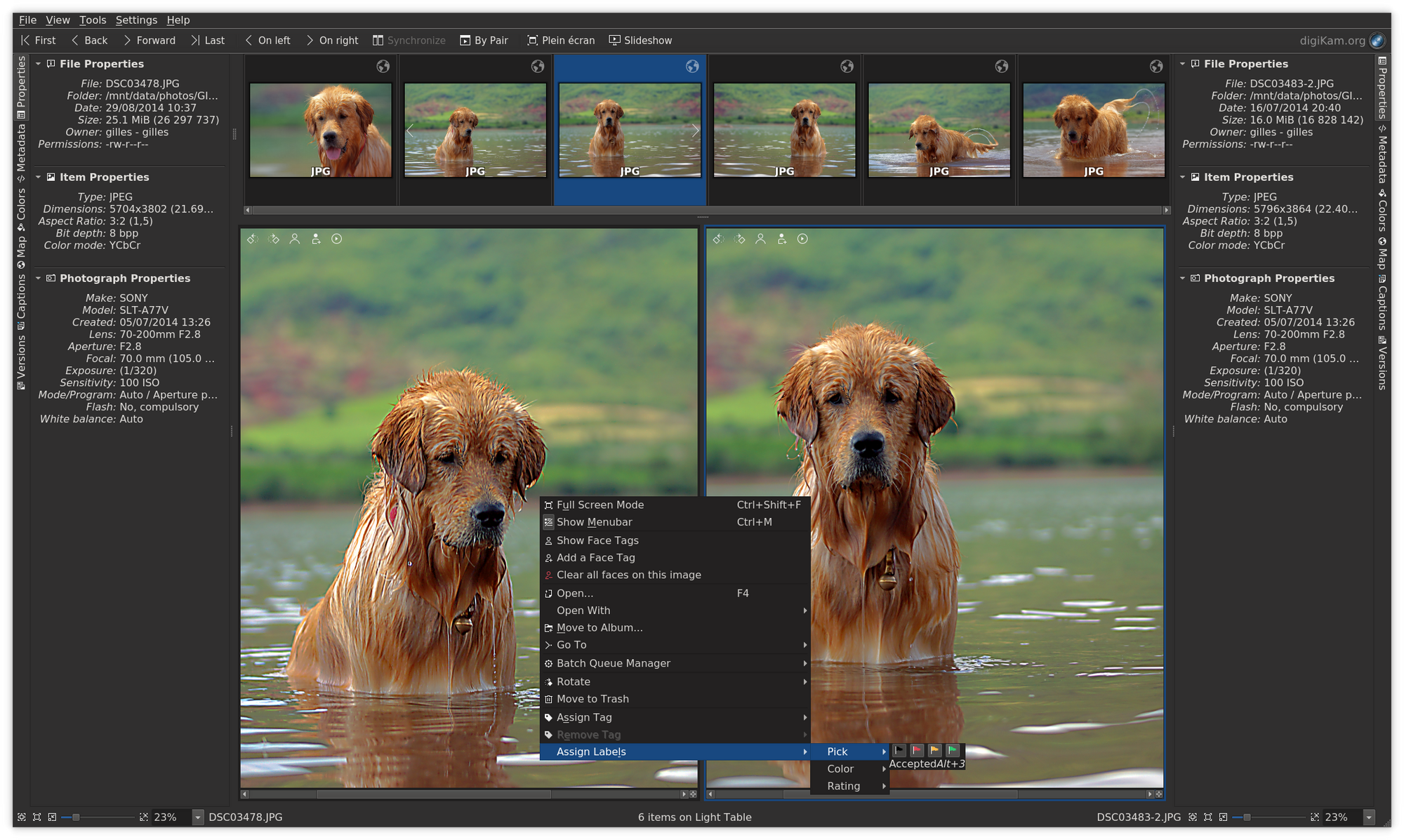 adobe lightroom 5 linux