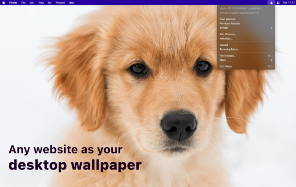 Make any website your Mac desktop wallpaper with Plash