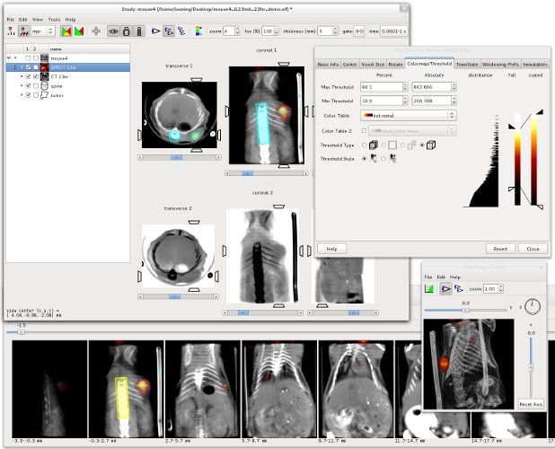 Amide's a Medical Imaging Data Examiner‌