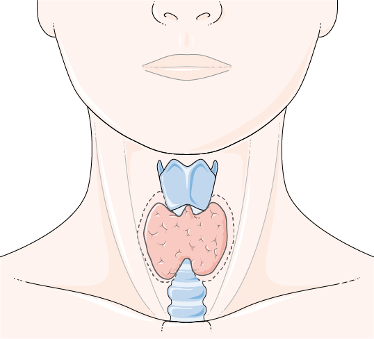 Endoclinic SPMS lightweight Cross-platform open source EMR software for Endocrinology clinics
