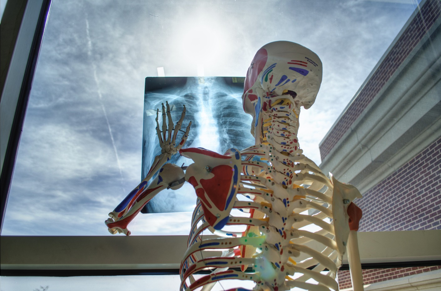 The Impact of Information Technology on Quality of Healthcare Services