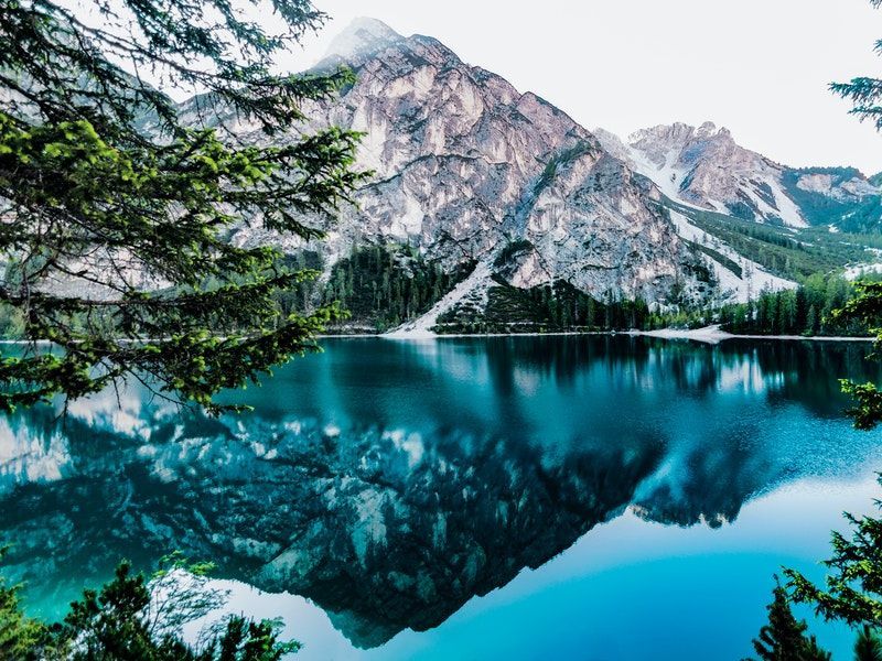 20 Top Free and Open-source Solutions for Photographers
