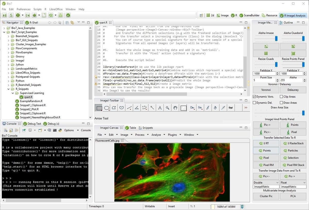 Bio7: A Free IDE for Ecological Modelling