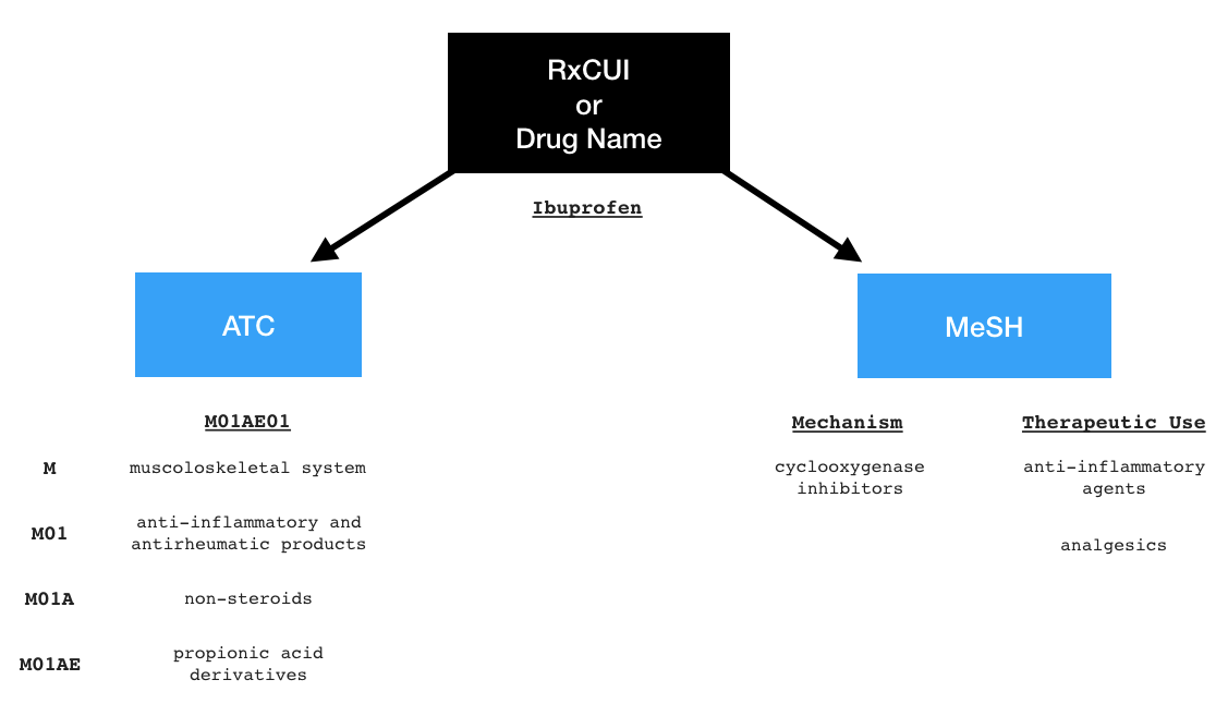 MedCodes: Streamlining Clinical Data Standardization and Interpretation in Python