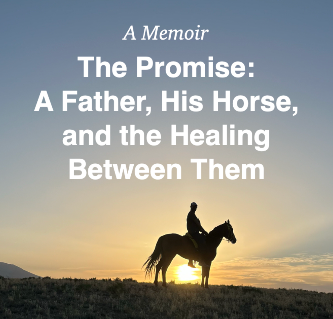 My Book: Through My Horse’s Eyes – A Journey from Darkness to Purpose