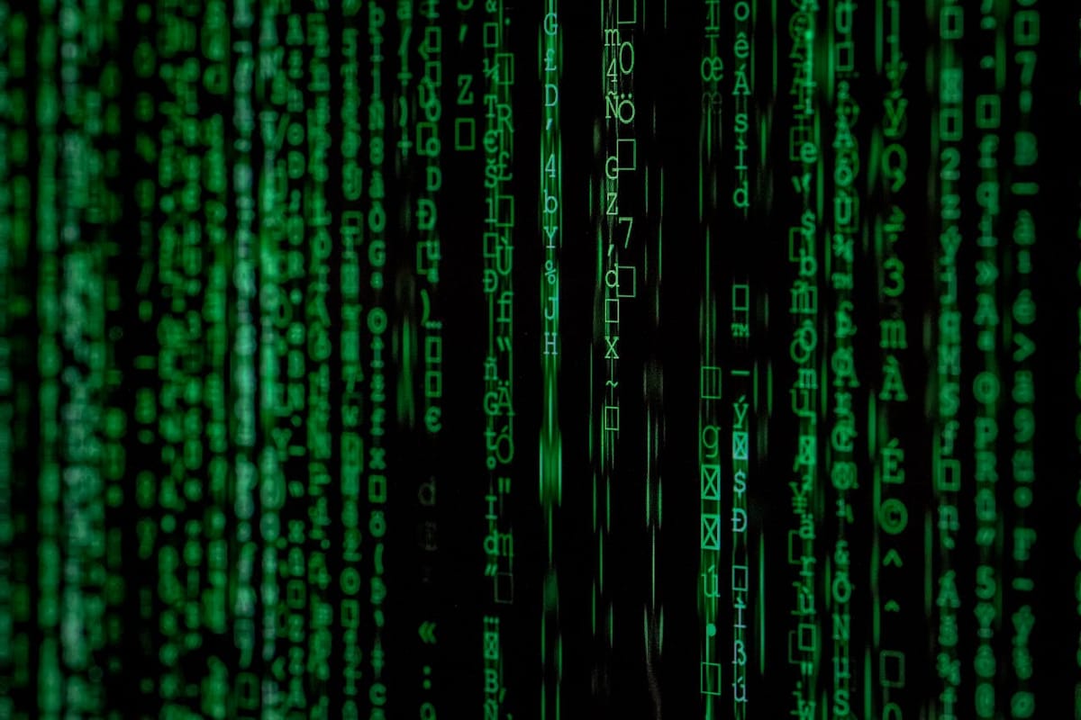 50+ Bizarre, Funny, and Downright Weird Software Licenses, You Do not Know About