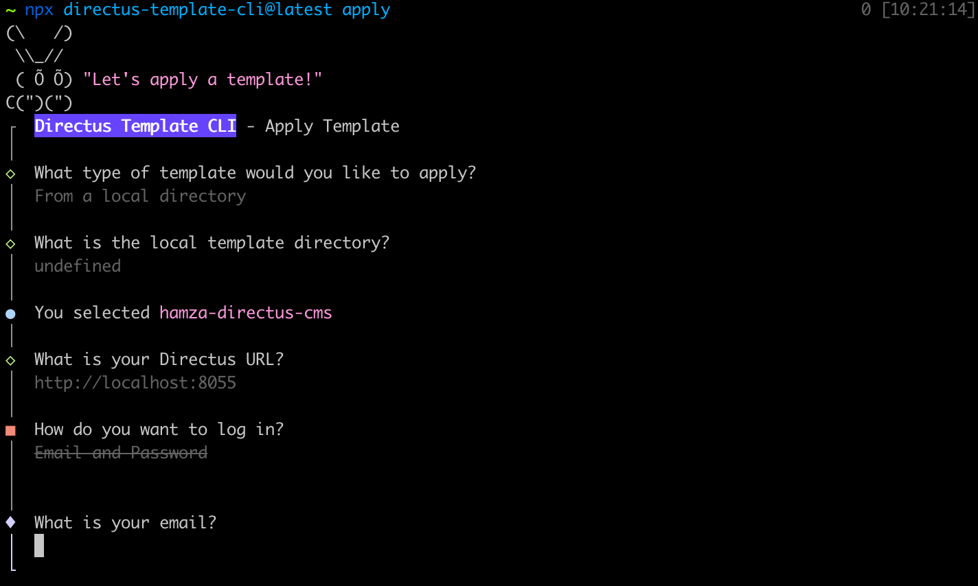 The Hidden Power of Directus Templates: Your Secret Weapon for Faster, Smarter Backend Development