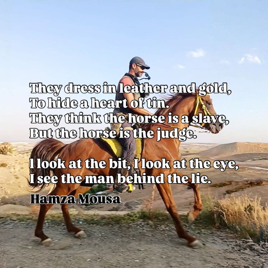 Introducing "The Promise": A Book about Horse Riding From a Father's Perspective.
