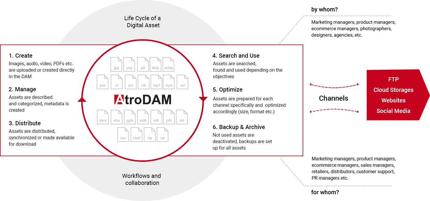AtroDAM: Self-hosted Digital Asse Management System