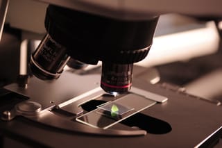 PaperQA2 - Custom Open-source RAG for Scientific Documents with ...