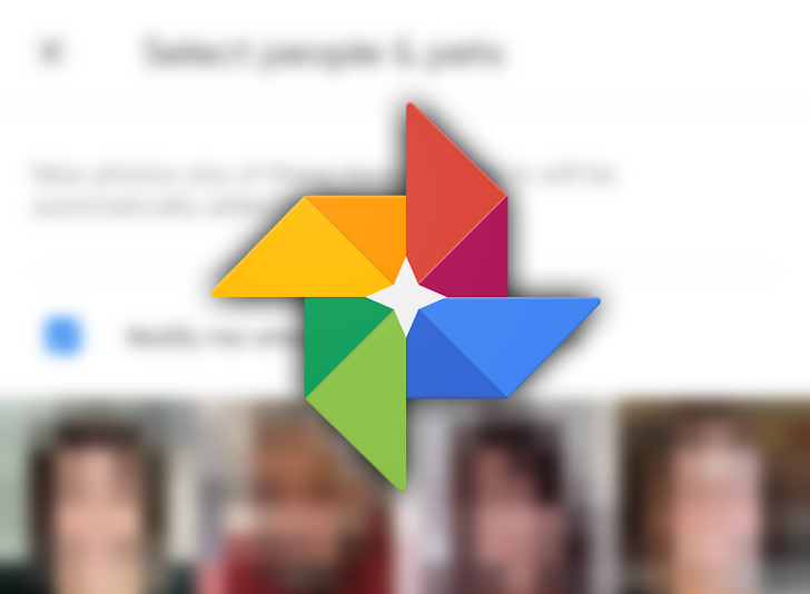 Top 14 Free Open-source self-hosted alternatives for Google Photos