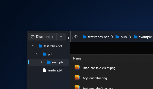 MyFTP: Free Libre FTP Client for Windows