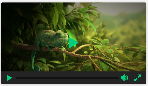 27 Open-source HTML5 and JavaScript Video Player Libraries
