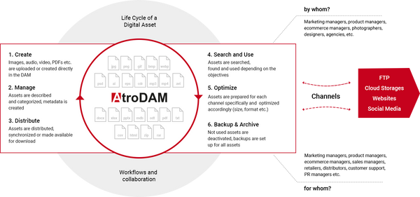 AtroDAM: Self-hosted Digital Asse Management System