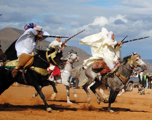 رياضات الفروسية العربية - تراث ثقافي وفن قتالي