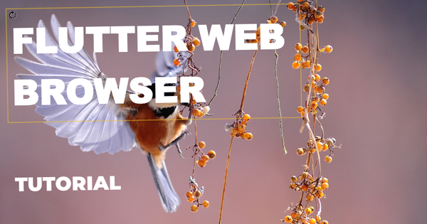Flutter Web Browser Tutorial: A Comprehensive Guide for Beginners