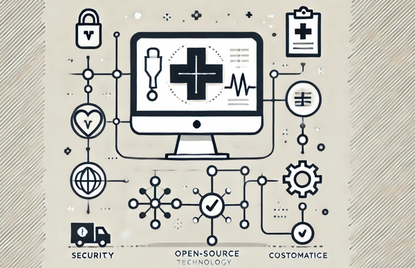 Reasons Healthcare Services Often Do Not Adapt to Open-Source Technologies and Software