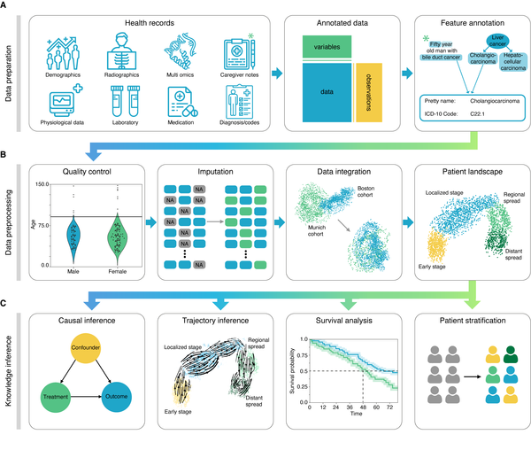 EHrapy: The Ultimate Open-Source Tool for Simplifying Healthcare Data and Medical Records Analysis