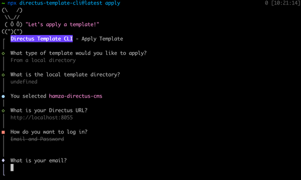 The Hidden Power of Directus Templates: Your Secret Weapon for Faster, Smarter Backend Development