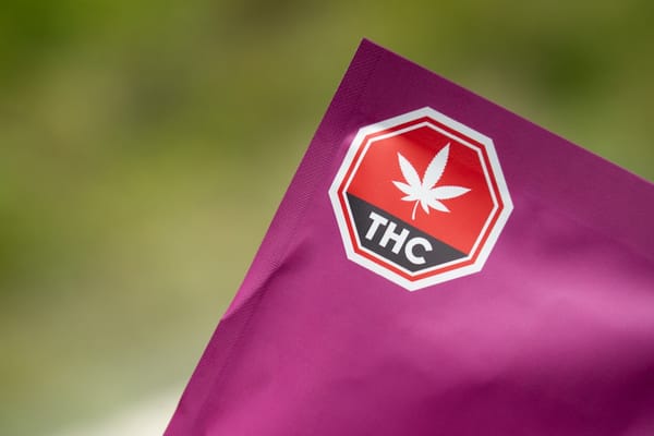 How the Human Body Metabolizes THC: Clinical Insights Into Detection, Clearance, and Recovery”