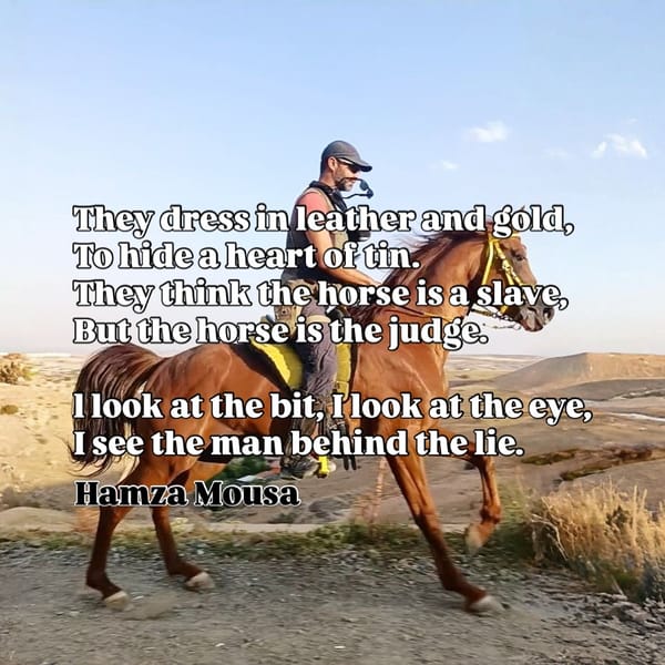 Introducing "The Promise": A Book about Horse Riding From a Father's Perspective.
