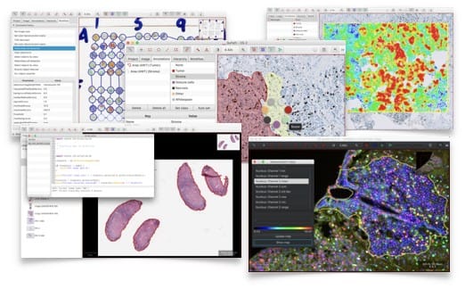 18 Free and Open-source Whole Slide Imaging Pathology Projects and Libraries, a Comprehensive Guide for Bioengineers and Bio Data Scientists (2024)